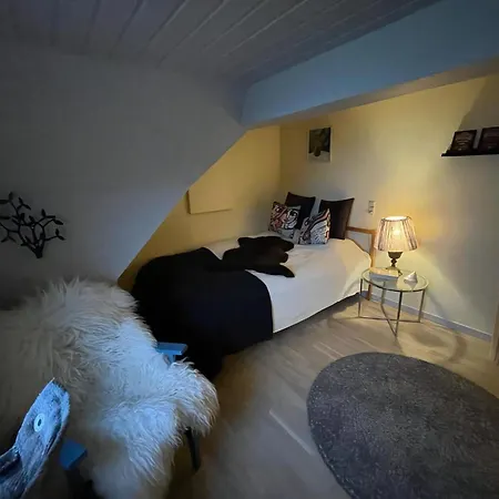 Spacious Waterfront Family Villaer Føllenslev